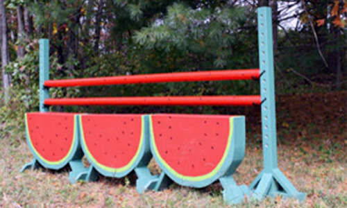 child watermelon motif horse jump with Dapple Equine durable horse jump cups